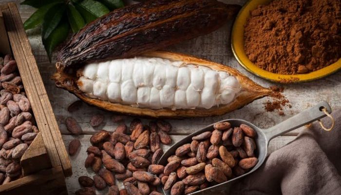 harga-kakao-pecah-rekor-melonjak-dua-kali-lipat