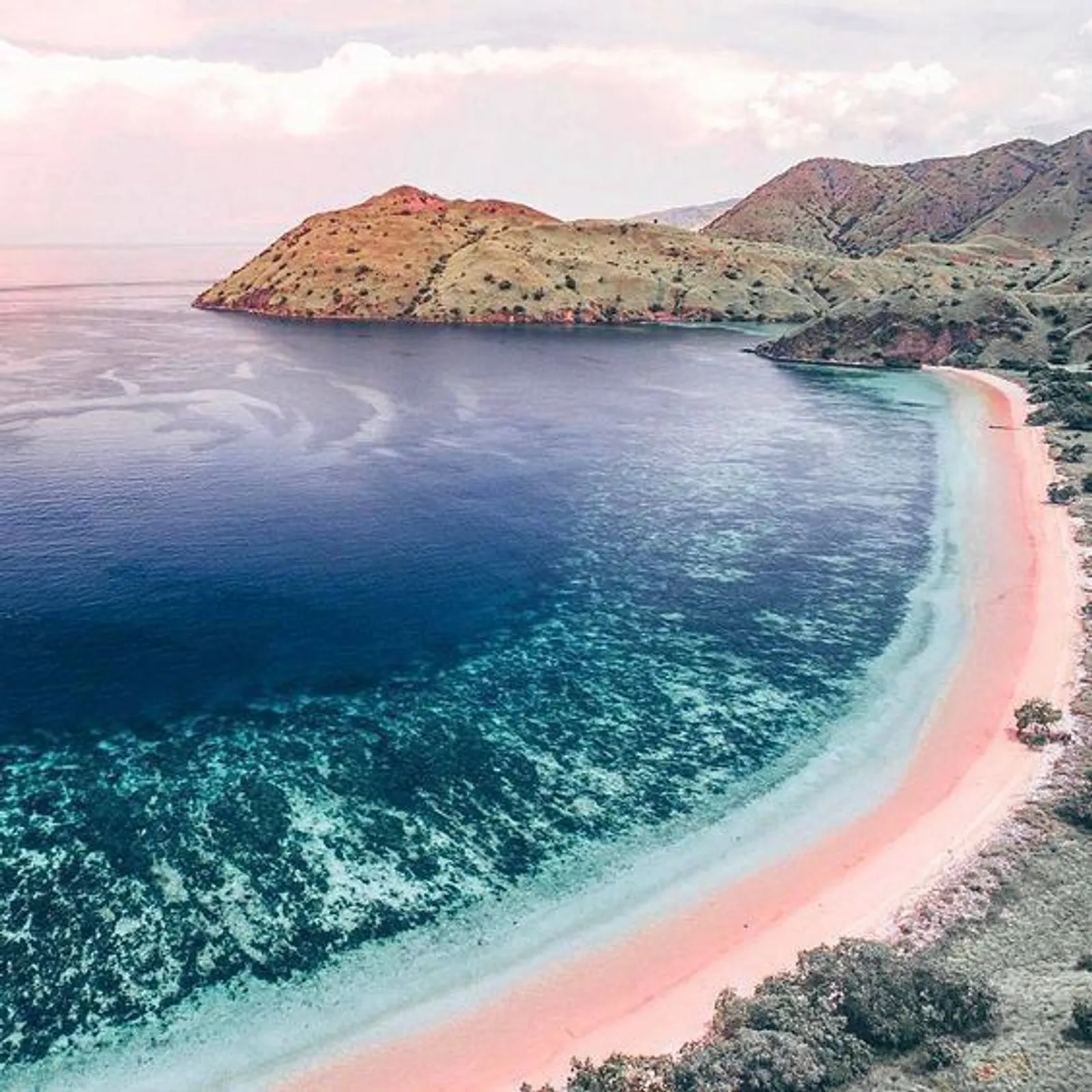 pantai pink