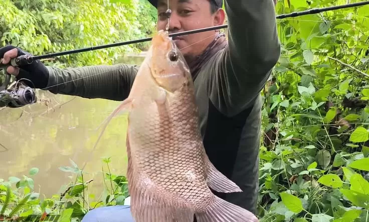 Umpan Mancing
