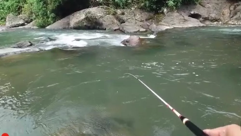 Umpan Mancing