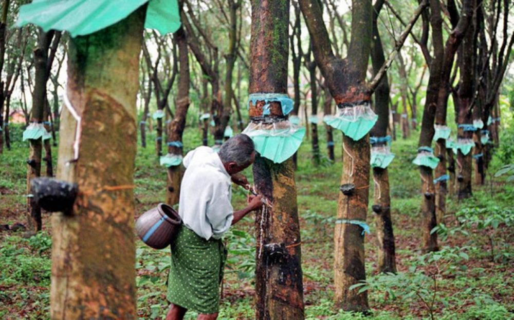 Negara Penghasil Karet