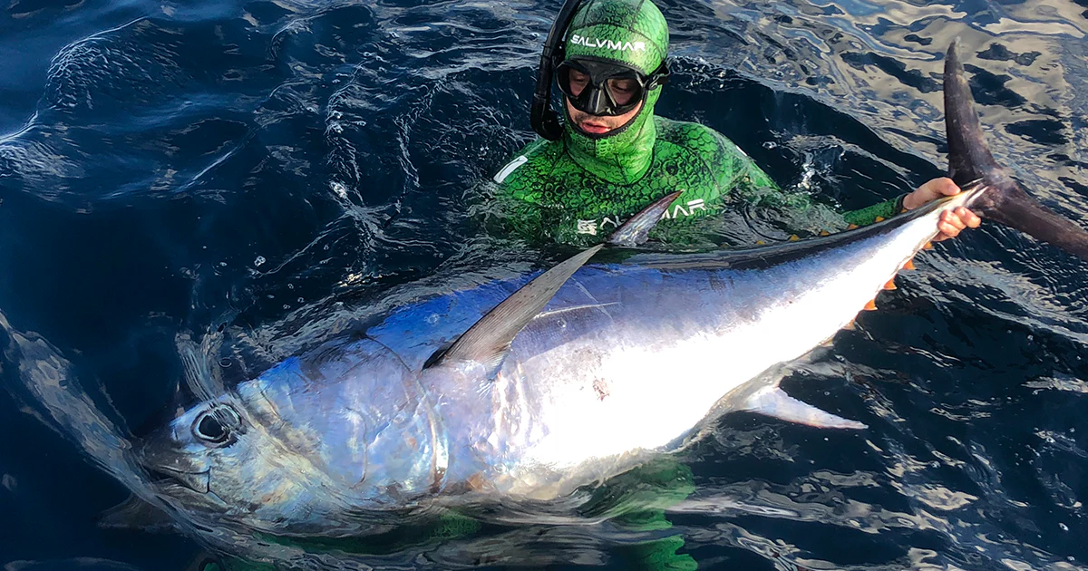 Bluefin Tuna