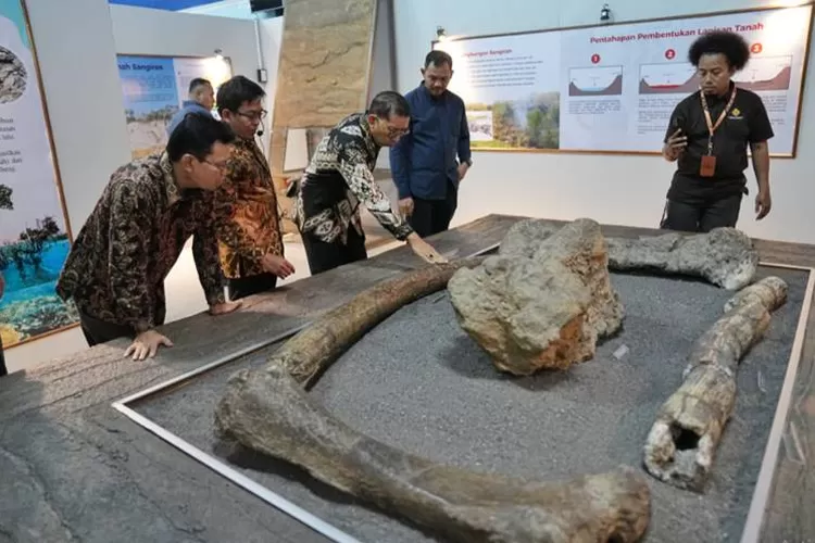 Situs Sangiran