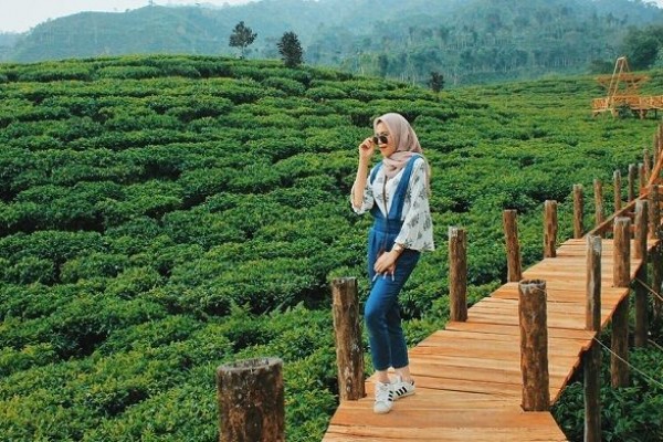 Kebun Teh Sidamanik