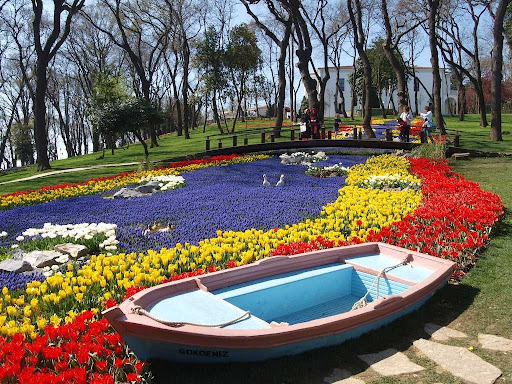 Emirgan Tulip Garden: Surga Bunga yang Memukau di Istanbul