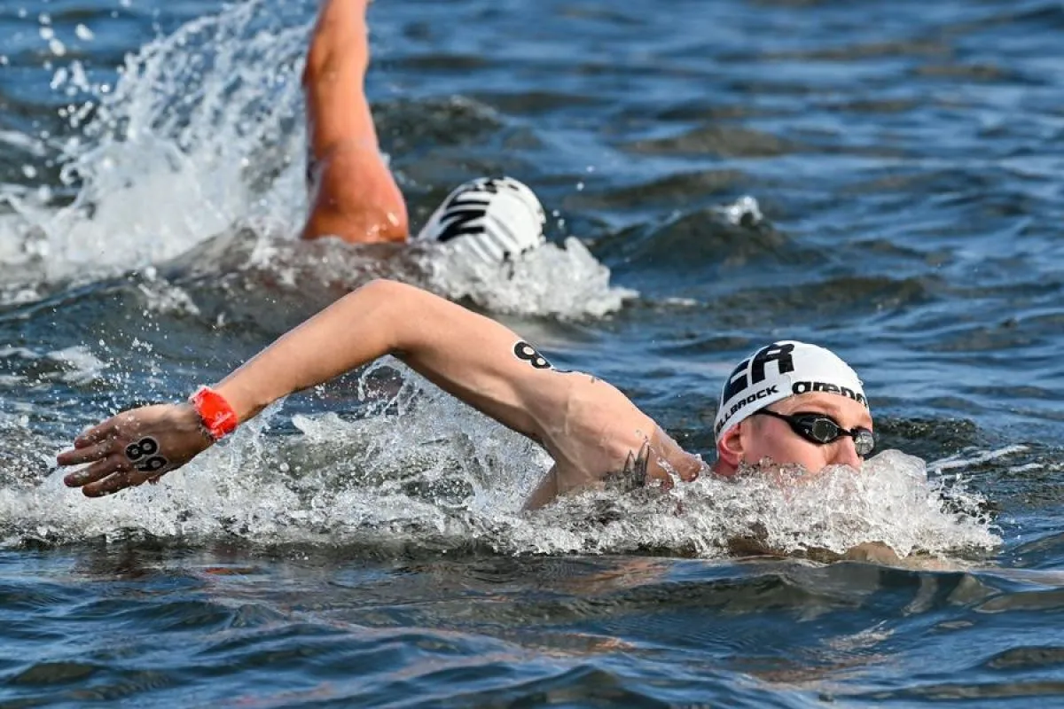 Renang Maraton: Menaklukkan Gelombang dan Batas Diri