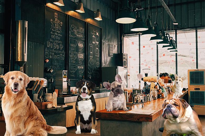 Mengelola Bisnis Pet Cafe yang Ramai dan Berkelanjutan 1 Bisnis Pet Cafe