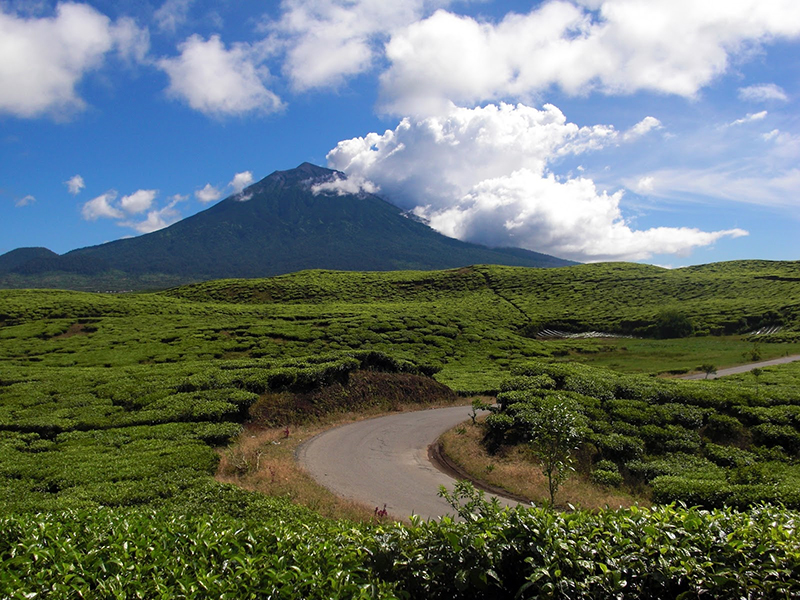 Taman Nasional Kerinci