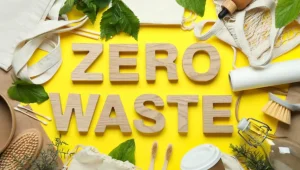 Zero Waste Lifestyle: Perjalanan Hidup Lebih Sadar, Ringan, dan Bermakna di Tengah Dunia Modern