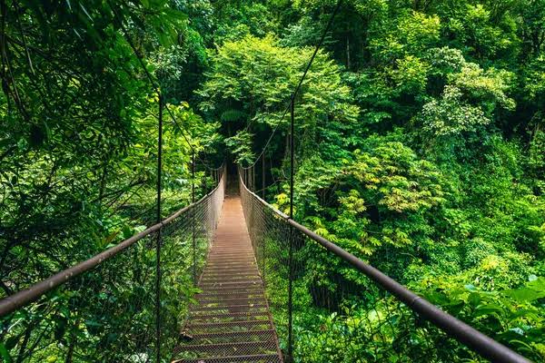 Hutan Awan Monteverde