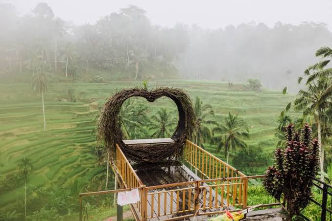 Tegallalang Rice Terraces