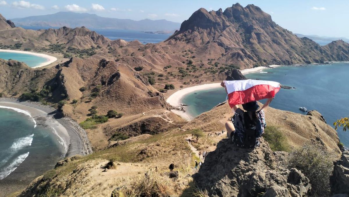 Pulau Padar, Surga Eksotis yang Menyuguhkan Panorama Alam Tak Terlupakan 3 Pulau Padar