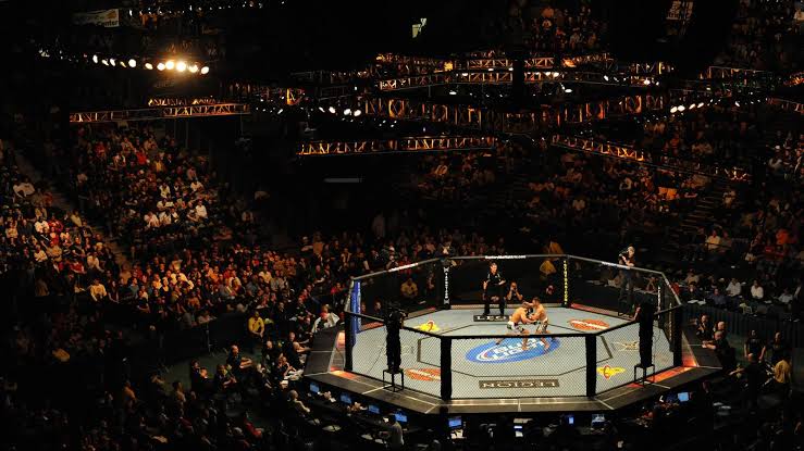Ultimate Fighting Championship, Ajang MMA Paling Bergengsi di Dunia 2 Awal Mula Ultimate Fighting Championship