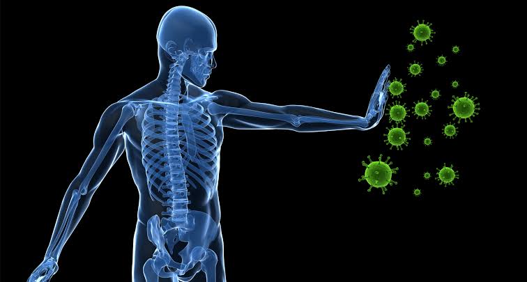 Menjaga Kekebalan Tubuh: 10 Tips agar Tetap Sehat 1 Menjaga Kekebalan Tubuh