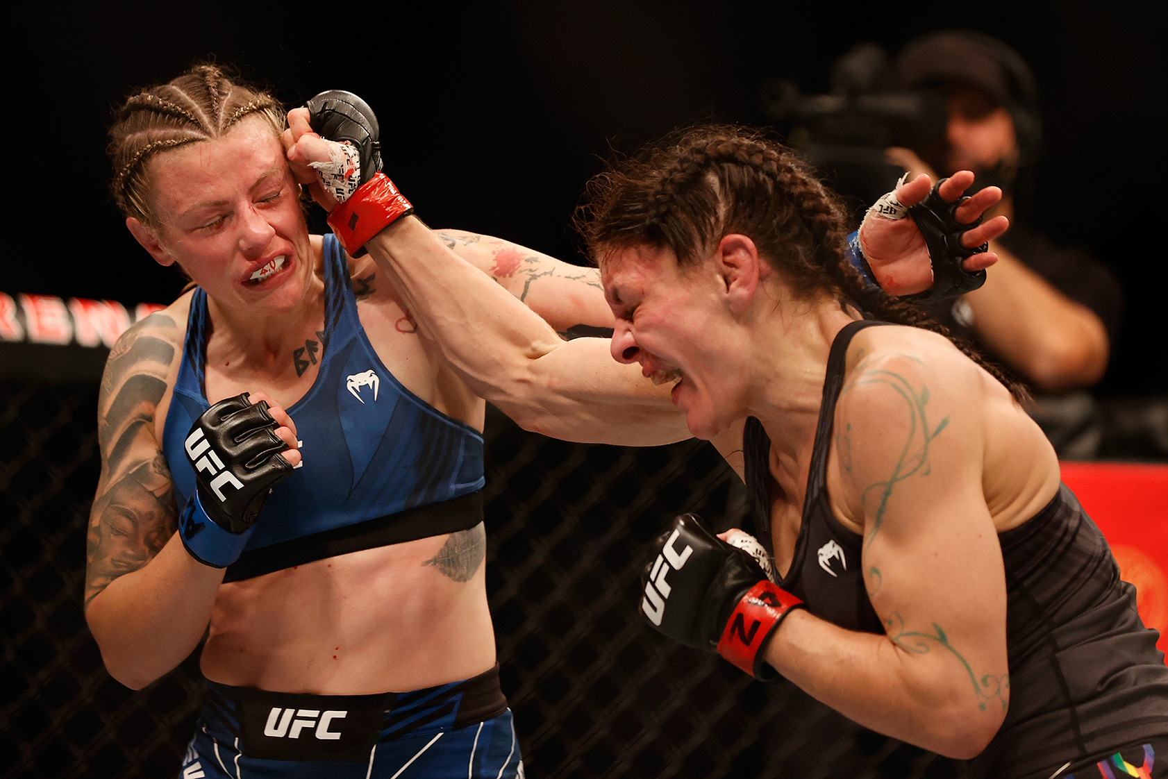 Ultimate Fighting Championship, Ajang MMA Paling Bergengsi di Dunia 1 Ultimate Fighting Championship